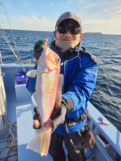 アマダイ(アカアマダイ)