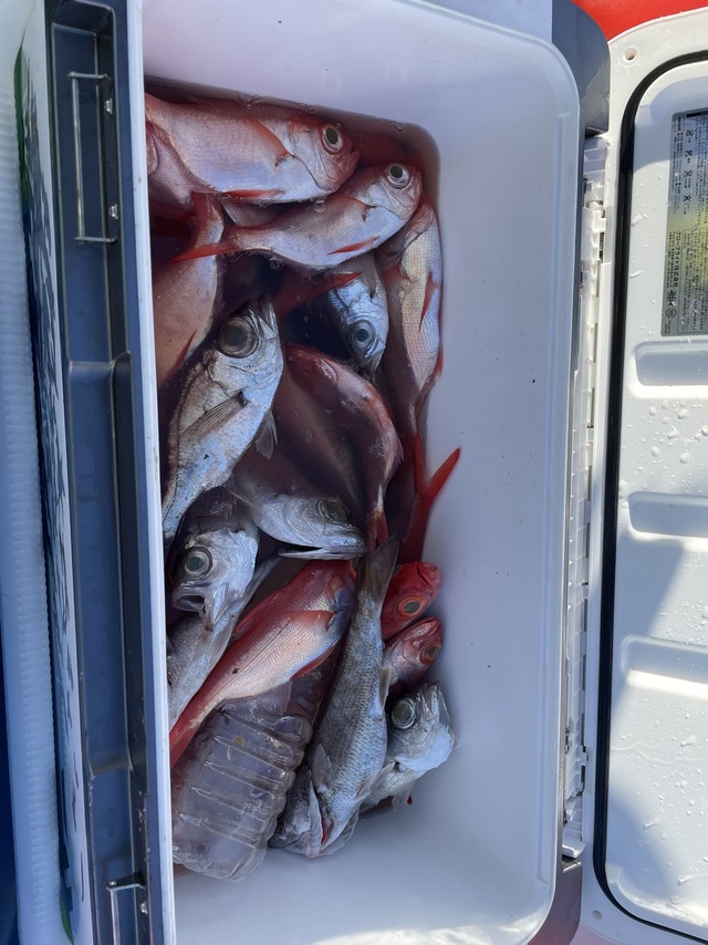 キンメ(キンメダイ)