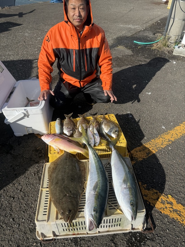 マアジ・メジロ(ブリ)・メイチダイ・ヒラメ