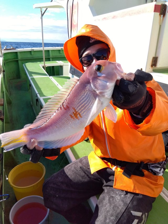 アマダイ(アカアマダイ)