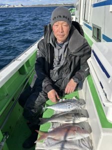 マダイ・ヒラソーダ(ヒラソウダ)