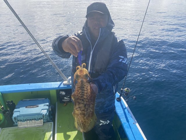 アオリ(アオリイカ)