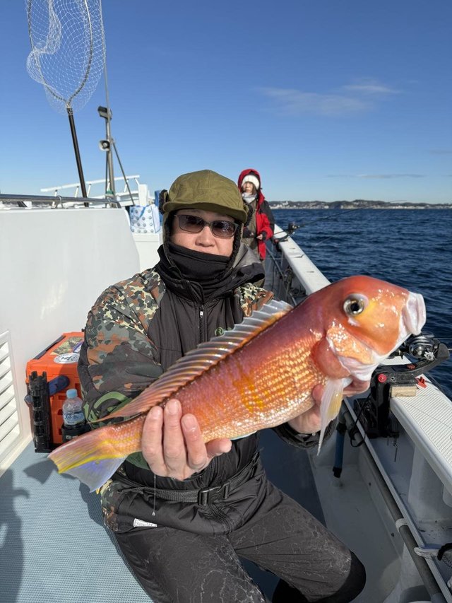 アマダイ(アカアマダイ)