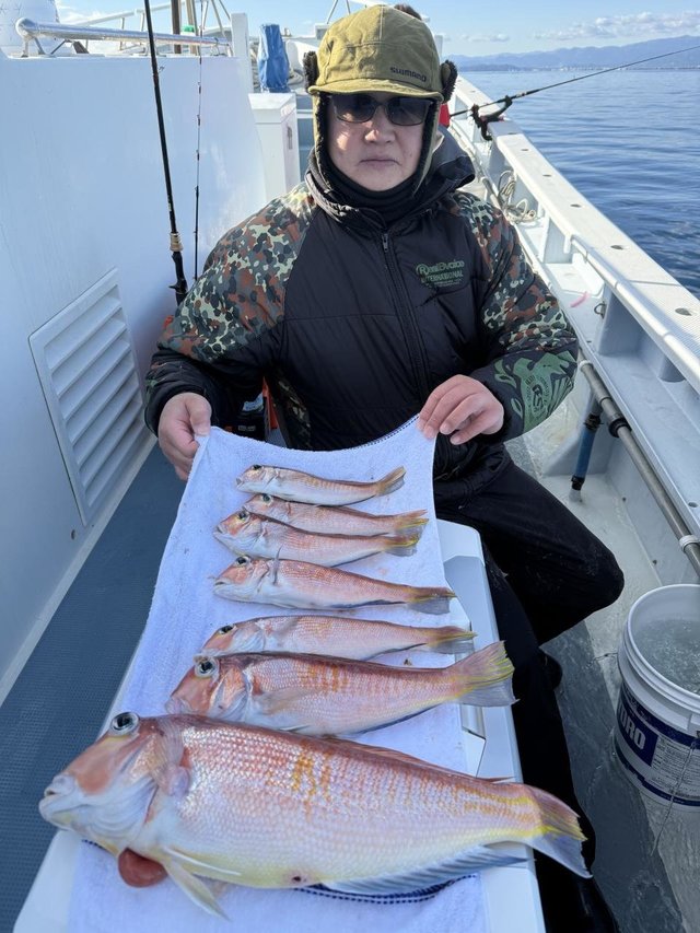 アマダイ(アカアマダイ)