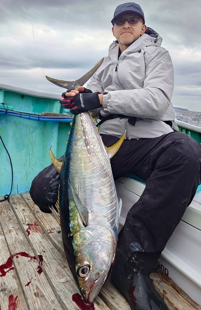 キメジ(キハダ)