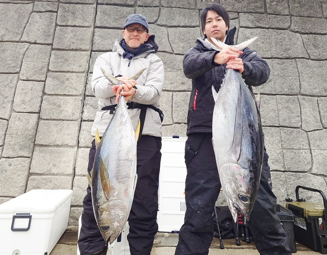 ビンチョウマグロ(ビンナガ)・キハダ