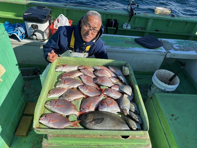 ハナダイ(チダイ)・カイワリ