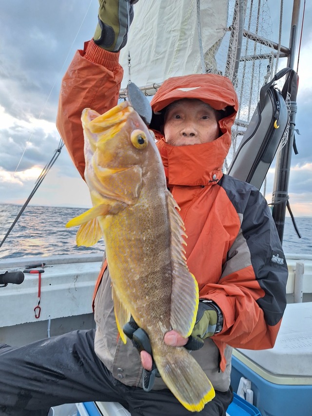 アオナ(アオハタ)