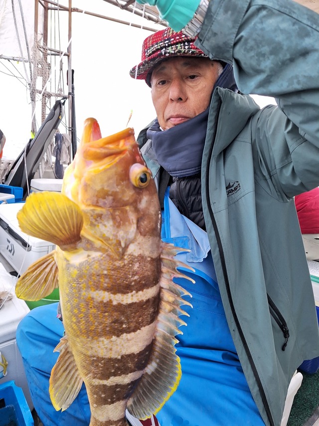 アオナ(アオハタ)