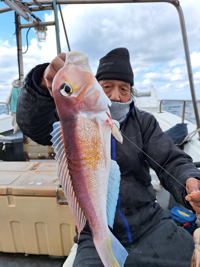 アマダイ(アカアマダイ)