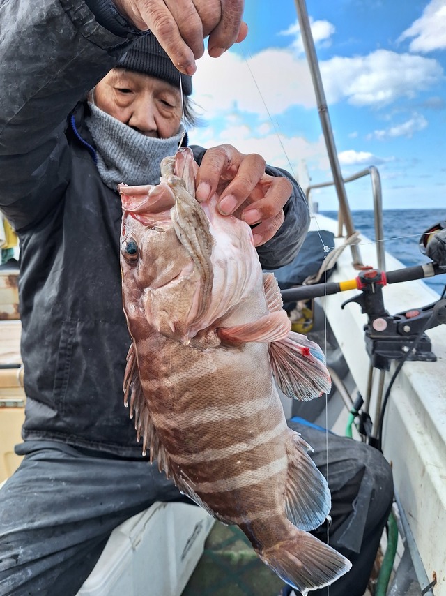 タカバ(マハタ)