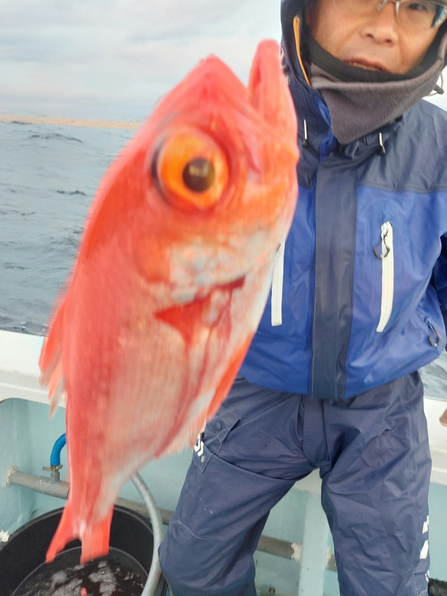 キンメ(キンメダイ)