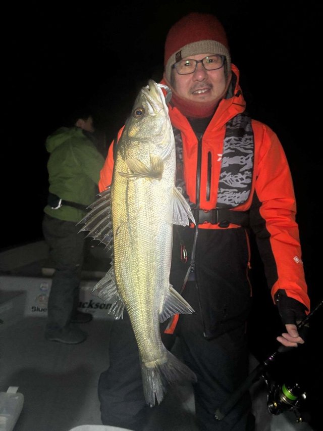 シーバス(スズキ)