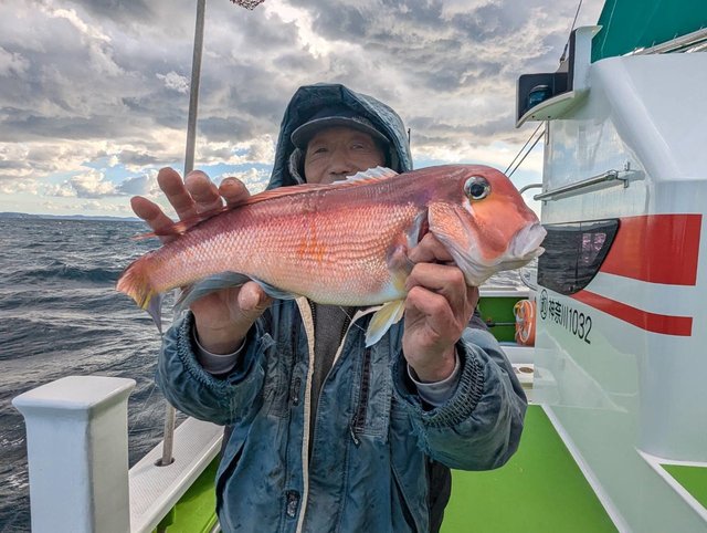 アマダイ(アカアマダイ)