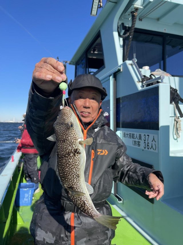 フグ(ショウサイフグ)