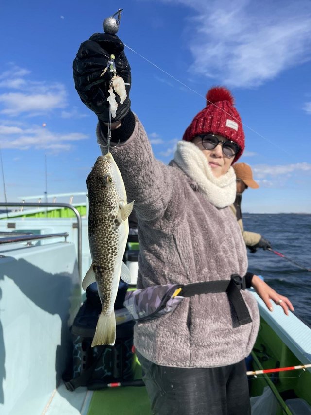 フグ(ショウサイフグ)