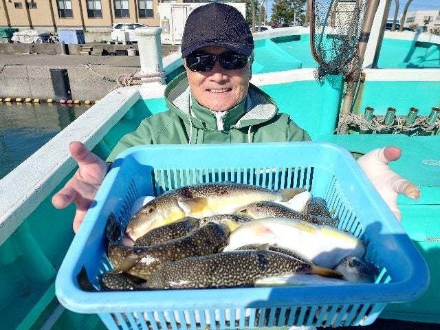 ショウサイフグ