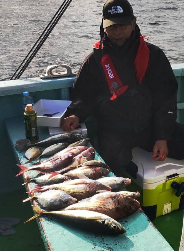 マダイ・アジ(マアジ)・カイワリ