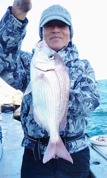 ハナダイ(チダイ)