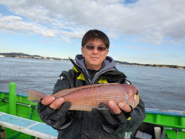 アマダイ(アカアマダイ)