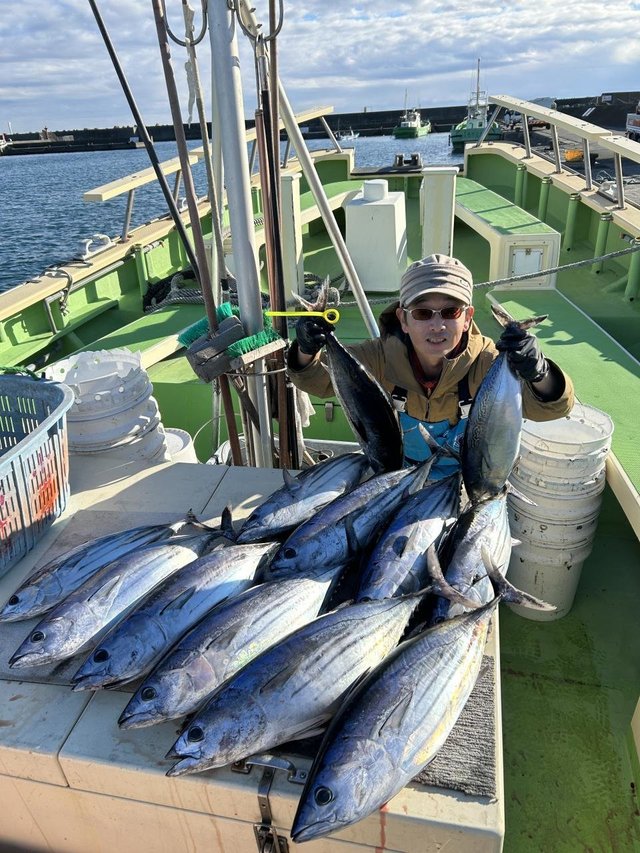 ホンガツオ(カツオ)