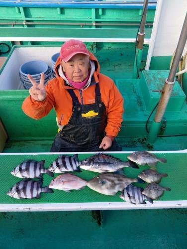 マダイ・イシダイ・カワハギ・ウマズラ(ウマヅラハギ)