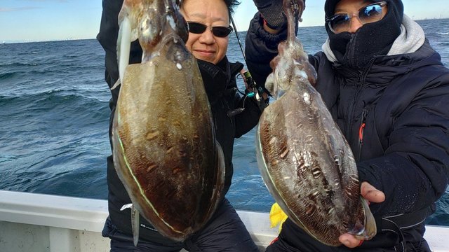 モンゴウイカ(カミナリイカ)