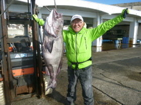 アブラボーズ(アブラボウズ)