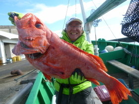 ベニアコウ(オオサガ)