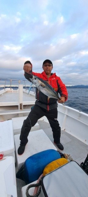 キメジ(キハダ)