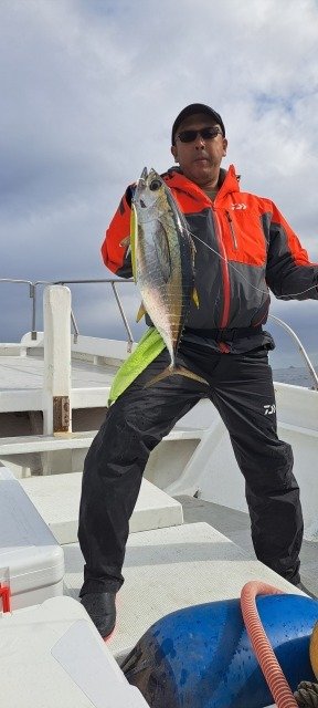 キメジ(キハダ)