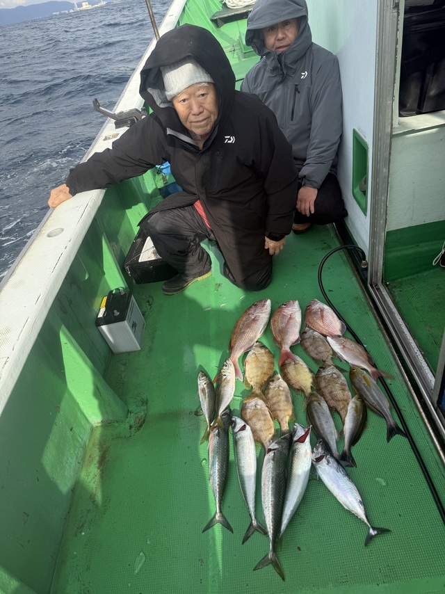 マダイ・マアジ・メイチダイ