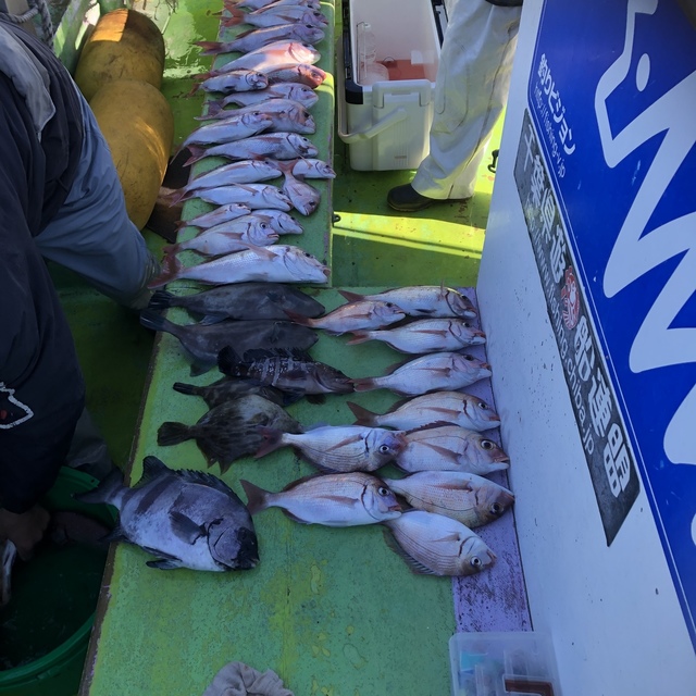 ハナダイ(チダイ)