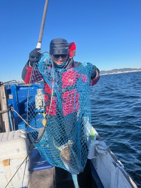 モンゴウイカ(カミナリイカ)