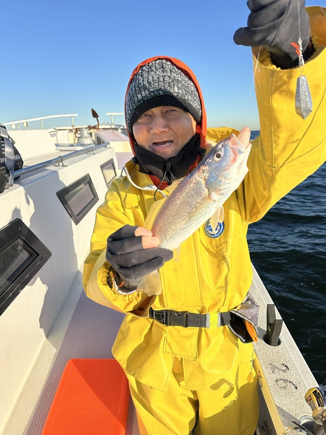 イシモチ(シログチ)