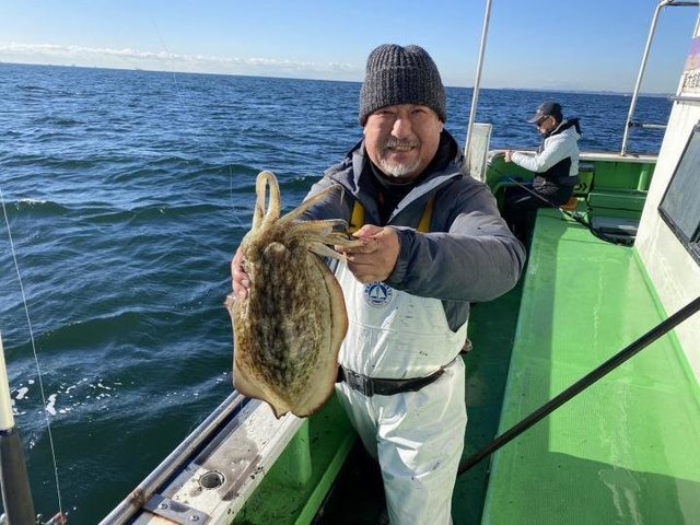 モンゴウ(カミナリイカ)