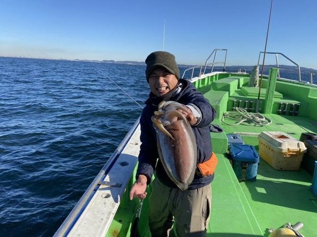 モンゴウ(カミナリイカ)