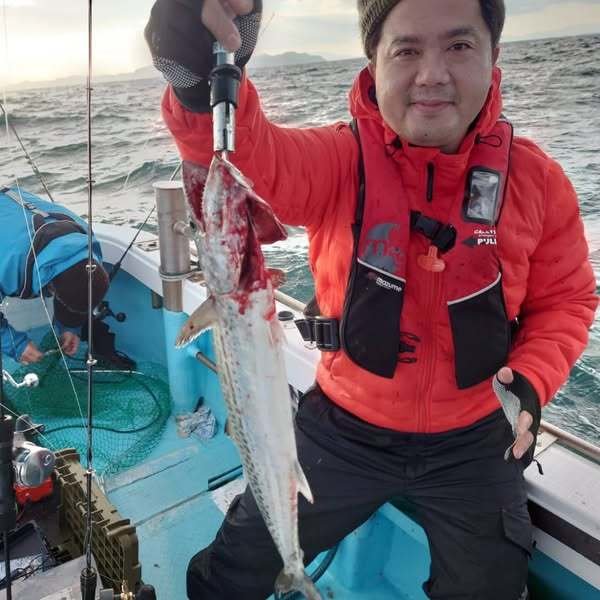 サゴシ(サワラ)