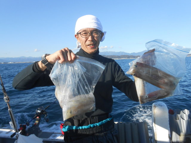 マルイカ(ケンサキイカ)・ヤリイカ