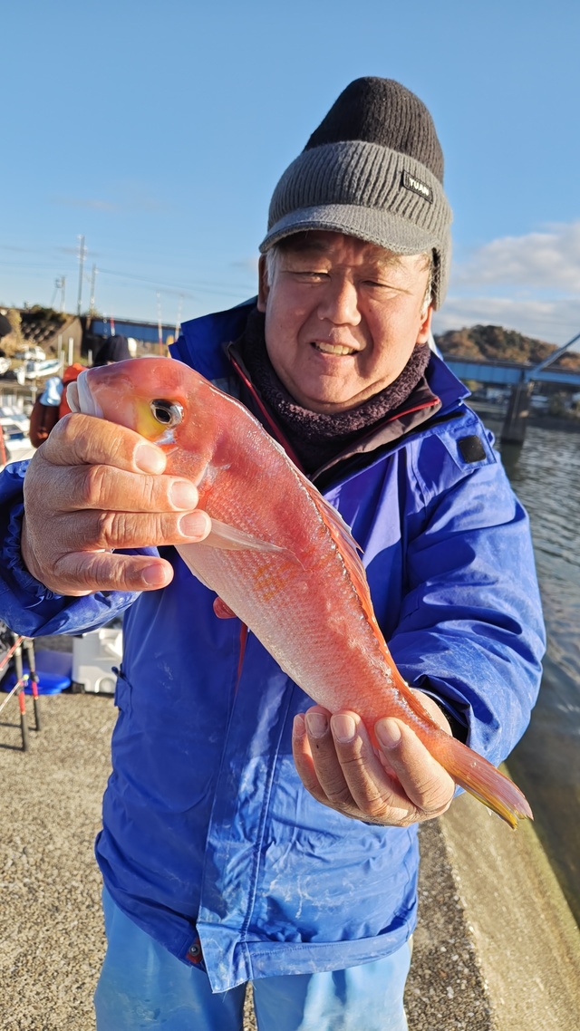 アマダイ(アカアマダイ)