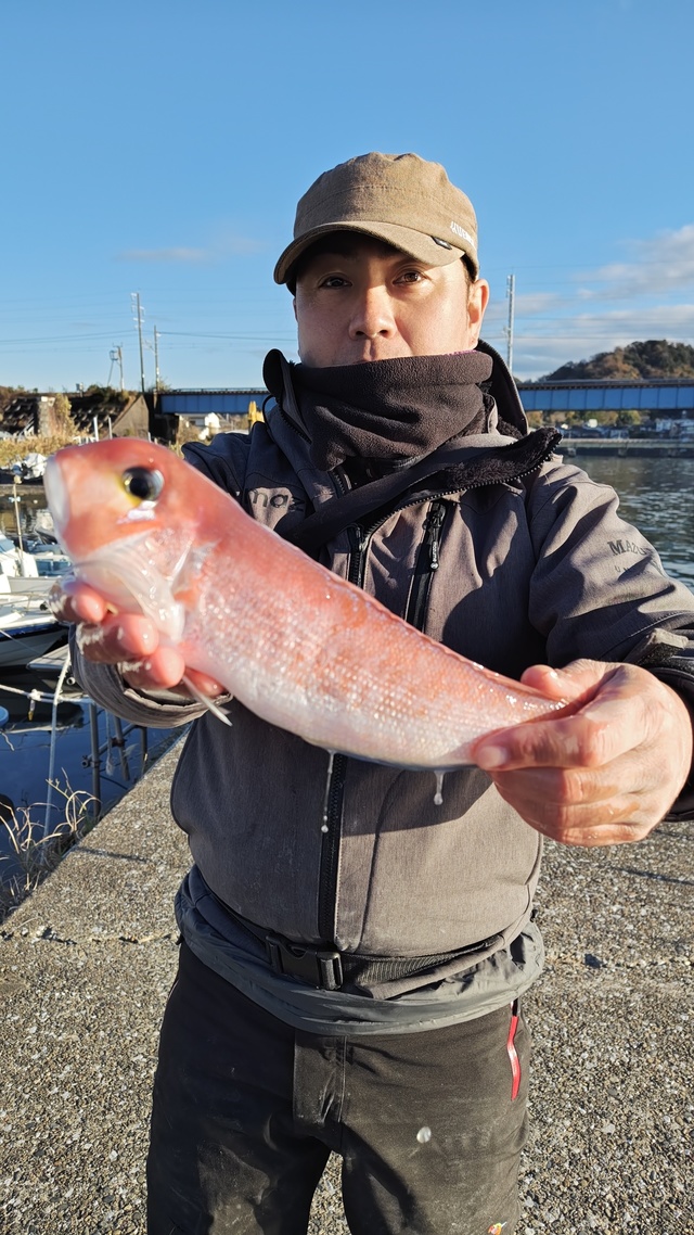 アマダイ(アカアマダイ)