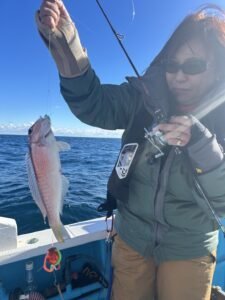 アマダイ(アカアマダイ)