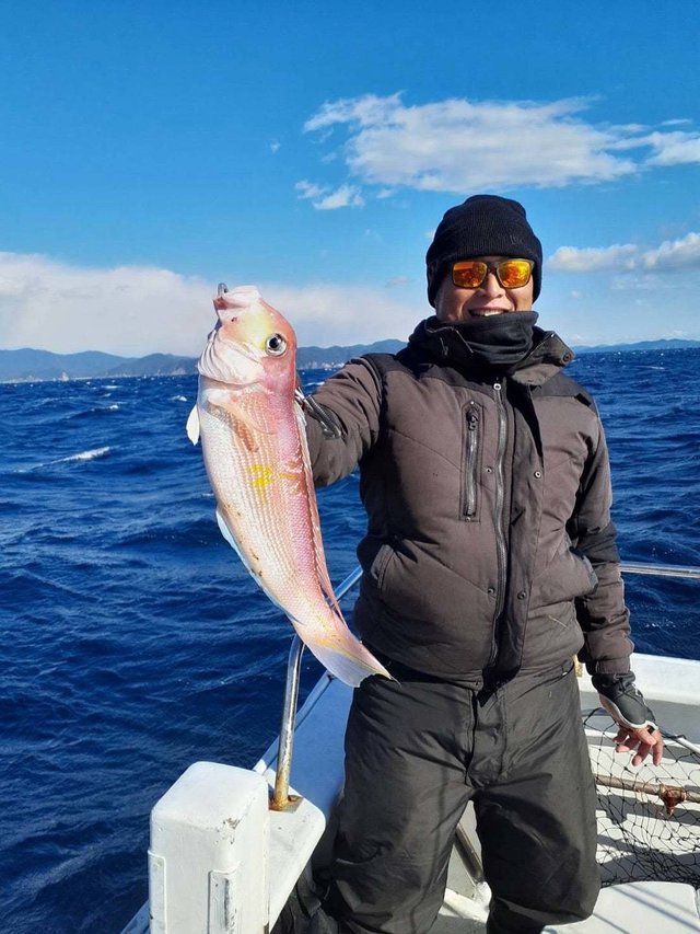 アマダイ(アカアマダイ)