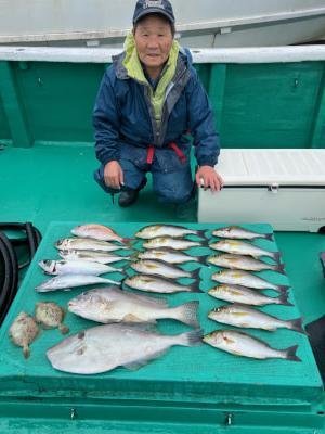 マアジ・コロダイ・イサギ(イサキ)・ウスバハギ・サバ(ゴマサバ)