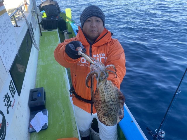 アオリ(アオリイカ)