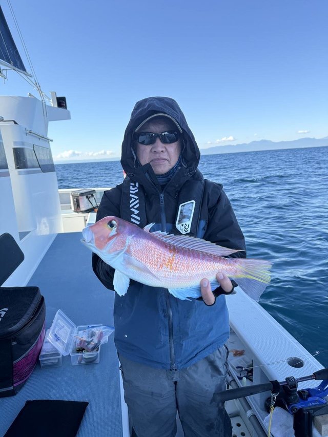 アマダイ(アカアマダイ)