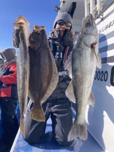 スズキ・ヒラメ