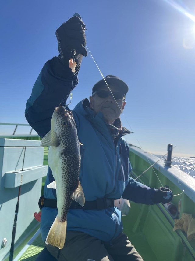 フグ(ショウサイフグ)