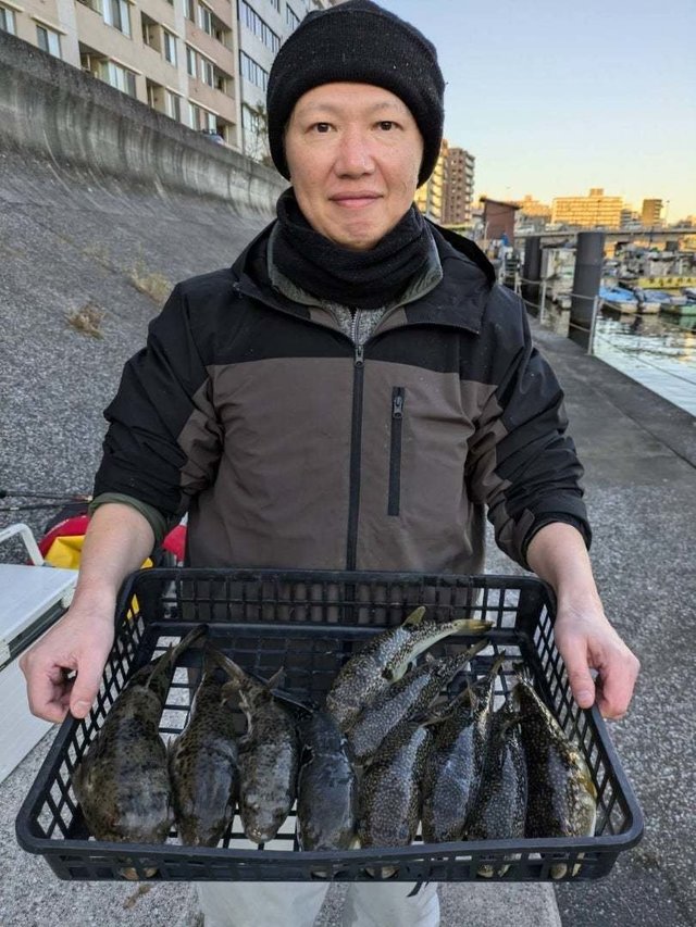 アカメフグ・ショウサイフグ