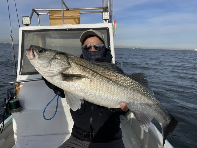 シーバス(スズキ)